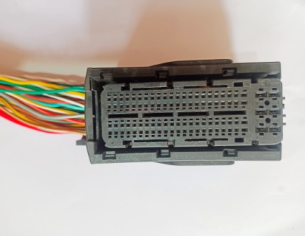 ECU J2 Wiring Coupler ( Signa BS4) - Image 4